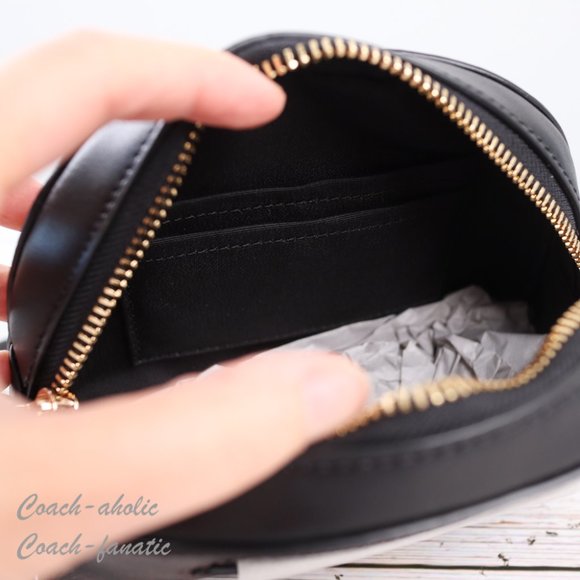 NWT Coach Coach X Peanuts Mini Serena Crossbody With Woodstock Print - Picture 11 of 13